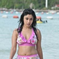 Payal Ghosh Hot Photos | Picture 36503